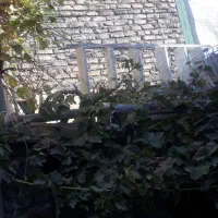 حراجی وسایل  موحود|حراج|قوچان, |دیوار