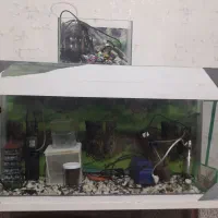 فروش فوری آکواریوم