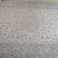 زندگی بر روی فرش نایین