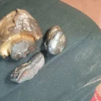 این چیه کی میدونه|کلکسیون اشیاء عتیقه|فولادشهر, A2|دیوار