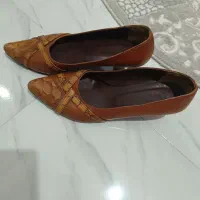 کفش مجلسی|کیف، کفش، کمربند|رشت, سلیمانداراب|دیوار