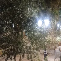 نیروی خدماتی