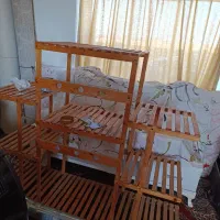 استند تمیز و سالم سایز بزرگ|گل و گیاه طبیعی|بندر ترکمن, |دیوار