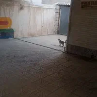 ویلایی  اجاره مناسب. آموزشگاه . باشگاه .کلینیک|اجارهٔ خانه و ویلا|بوشهر, |دیوار