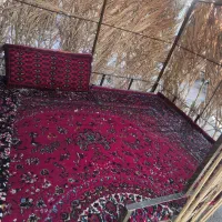 آلاچیق|فروشگاه و مغازه|طبس, |دیوار