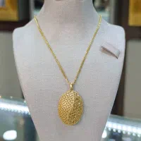 زنجیر میرو و پلاک فیوژن بی اجرت