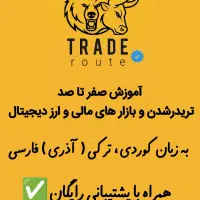 آموزش صفرتاصد فارکس،ارز دیجیتال،بازار های مالی|خدمات آموزشی|خوی, |دیوار
