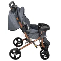 کالسکه سالم سالم