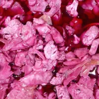 ترشی خانگی|خوردنی و آشامیدنی|تربت‌حیدریه, باغ ملی|دیوار