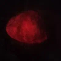 سنگ گوهرشب چراغ