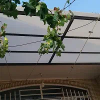 پلی کربنات سقف  سایه بان|مصالح و تجهیزات ساختمان|شاهین‌شهر, سعدی شمالی|دیوار