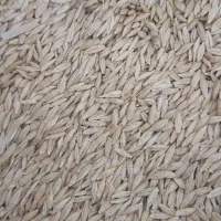 آگهی|خوردنی و آشامیدنی|بافت, |دیوار