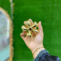 کلیپس فلزی زایا