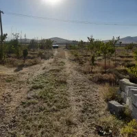 فروش زمین به متراژ ۴۰۰۰ متر مربع|فروش زمین و ملک کلنگی|ارشق, |دیوار