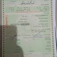 نیسان یخچالدارعالی|خودرو سواری و وانت|رفسنجان, |دیوار