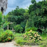 ویلاباغ ۴۵۰م دل سعادت اباد با سونا استخر /۵خواب|فروش خانه و ویلا|چمستان, |دیوار