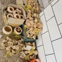 هفت سین سفالی خام