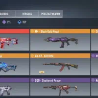 اکانت ویچ واردن دار