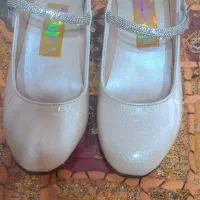 کفش مجلسی