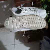 کفش  بدوح پارگی و زدگی|کیف، کفش، کمربند|مشهد, کارمندان دوم|دیوار