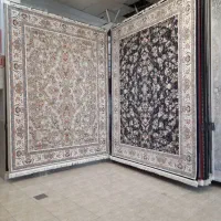گالری فرش افشار|فرش|زنجان, |دیوار