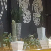 خواننده هستم نیازمند نوازنده برای اجرای خیابانی