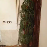 درخت مصنوعی