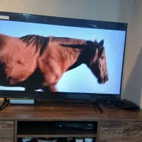 تلویزیون QLED سامسونگ 50 اینچ|تلویزیون و پروژکتور|فردیس, منظریه|دیوار