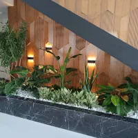 مشاوره تخصصی نگهداری و درمان گل و گیاه آپارتمانی