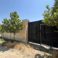 زمین-سهیلیه-داخل-بافت