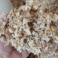 پوشال جنگلی خشک