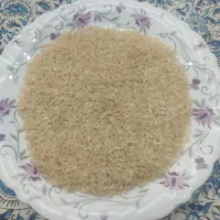 برنج کامفیروزی صد در صد به شرط|خوردنی و آشامیدنی|شیراز, سجادیه|دیوار