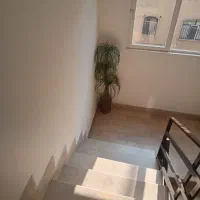 درختچه مصنوعی|گل مصنوعی|تهران, خواجه نظام الملک|دیوار