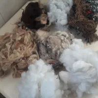 متکا بالش|رختخواب، بالش، پتو|بندر انزلی, پرستار|دیوار