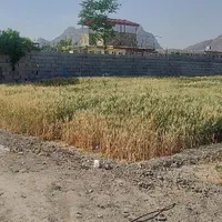 زمین کشاورزی ۱۰۰۰متری مناسب باغ و ویلا سازی.