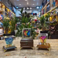 گل روز جاودان