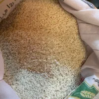 برنج هاشمی تازه|خوردنی و آشامیدنی|اهر, |دیوار