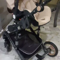 سیسمونی در حدنو