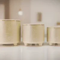 گلدان سرامیکی لوکس مدل سلطنتی پایه دار|گل و گیاه طبیعی|تهران, افسریه جنوبی|دیوار