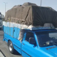 (فضله) کبوتر شیروانی وسوله