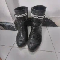 پوتین‌مجلسی