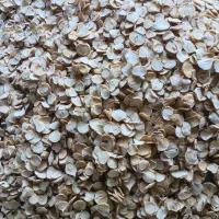 موسیر اعلای همدان|خوردنی و آشامیدنی|ری, علایین|دیوار