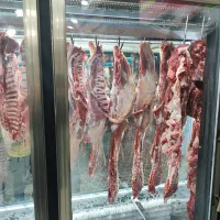 صندوقدار خانم