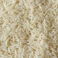 برنج فجر گرگان