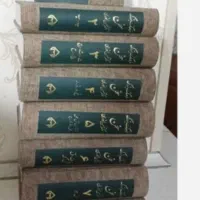 فرهنگ سخن (فرهنگ لغت)