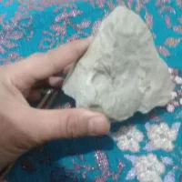 فسیل‌صدف‌و‌مسیل‌حیوان‌در‌یایی‌‌‌چند‌سا‌له|کلکسیون و سرگرمی|مشهد, رده|دیوار