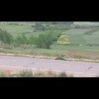 زمین تجاری لب جاده