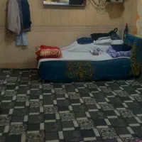 همنونه