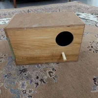 لونه طوطی(راهب برزیلی گرینچیک )