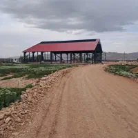 نصاب ساندویچ پانل